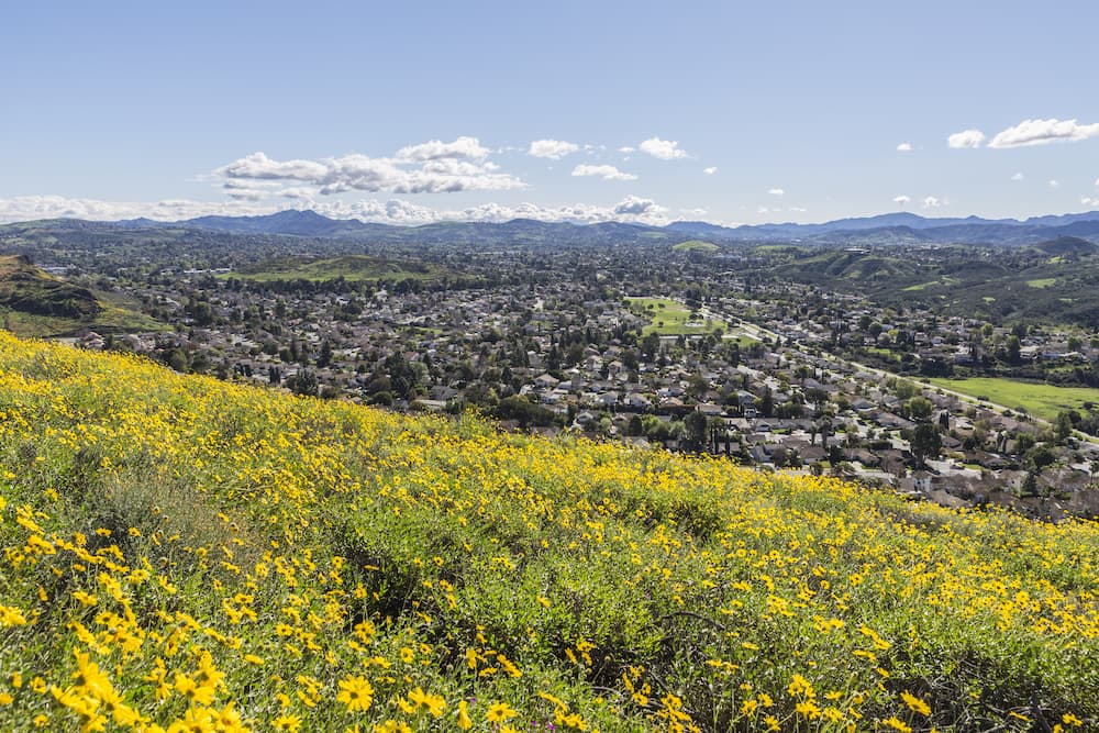 Beautiful Thousand Oaks Meadow and city in the distance